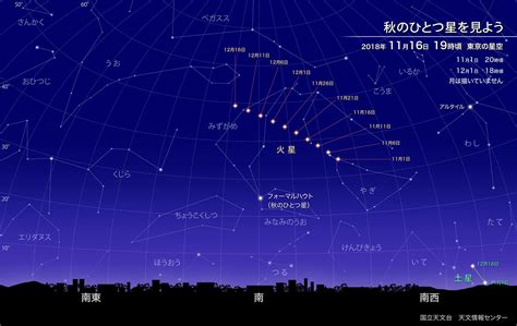 11月24號星座